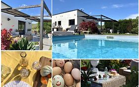 Le Galinié Chic'Art. Un bel Atelier avec Piscine
